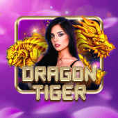 Dragon Tiger on SpinPlus live casino